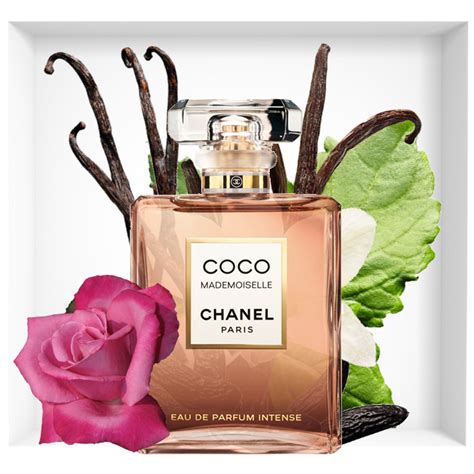 Coco Chanel perfume top notes